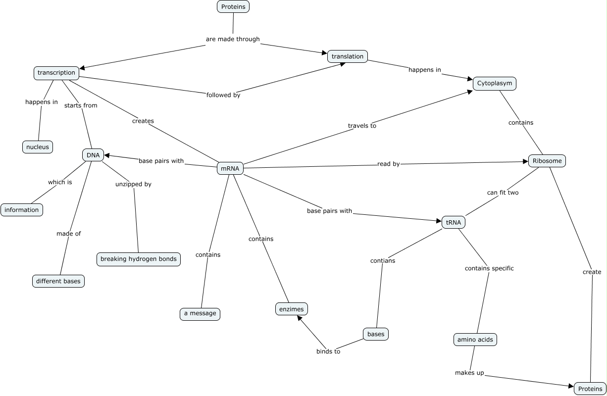 protein Synthesis Map