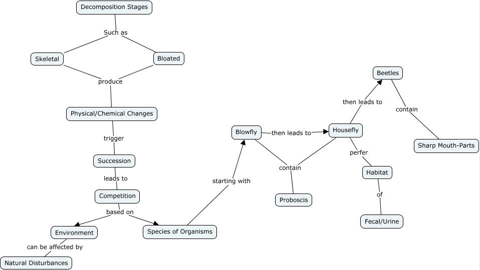 Succession - How does succession work in forensic entomology