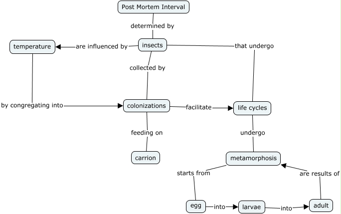 Post Mortem Interval - How do forensic entomologists determine PMI?