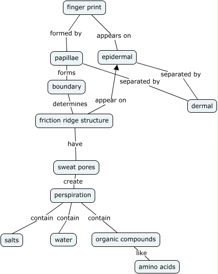 How does the anatomy and physiology of our skin tissue relate to forensics