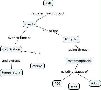 PMI - How do forensic entomologists determine PMI?