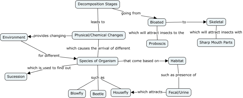 Decomposition