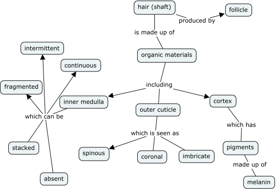 Hair - What is the structure of hair?