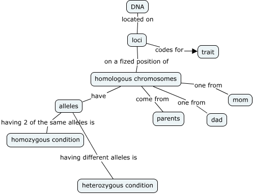 How are traits passed to offspring