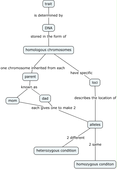 Inheritance Terms - How are traits passed to offspring?