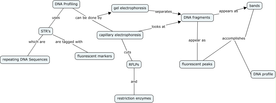 DNA Profiling - How is DNA profiling accomplished?