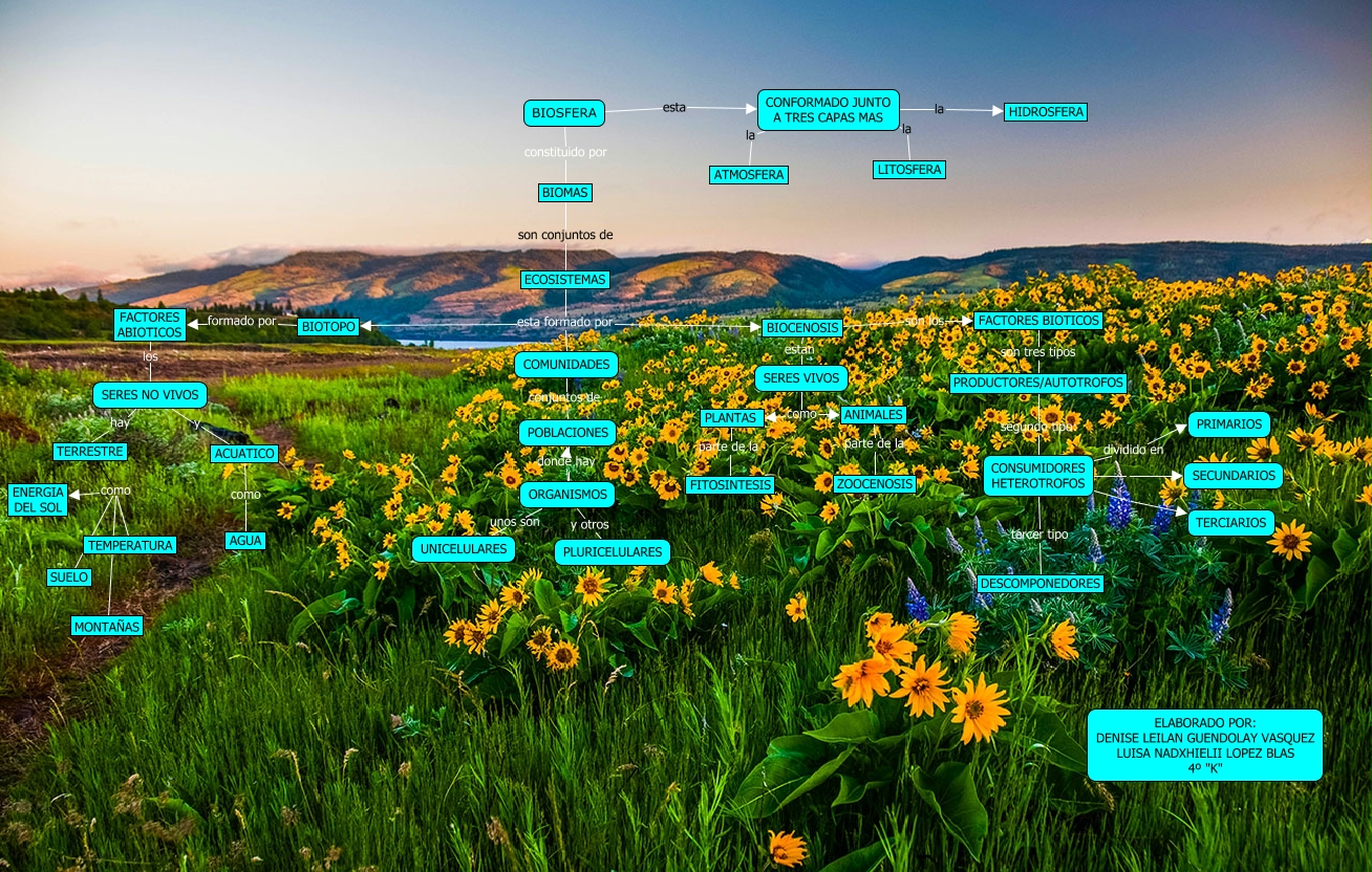 MAPA CONCEPTUAL BIOSFERA