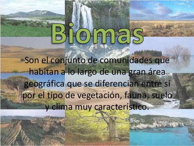 ECOLOGÍA (MAPA 1)