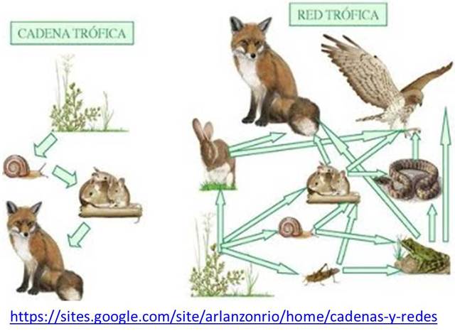 ECOLOGÍA (MAPA 1)