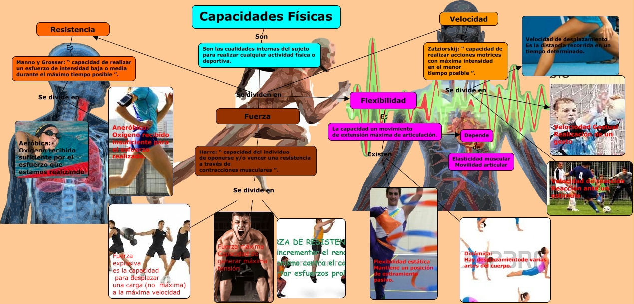 CAPACIDADES FÍSICAS