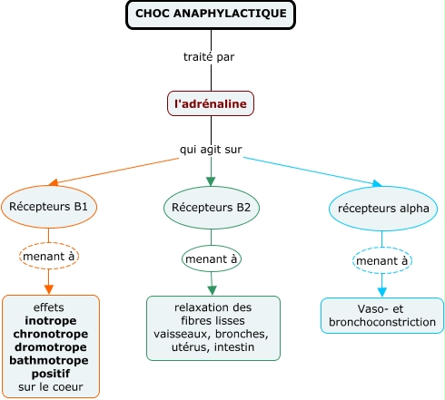 5.1.Choc ana supplément