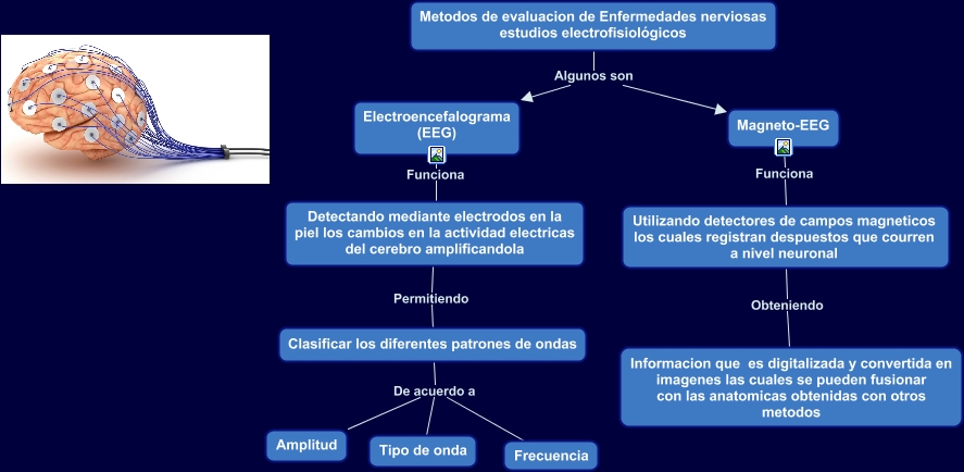 1.3 estudios electrofisiológicos. 2.5