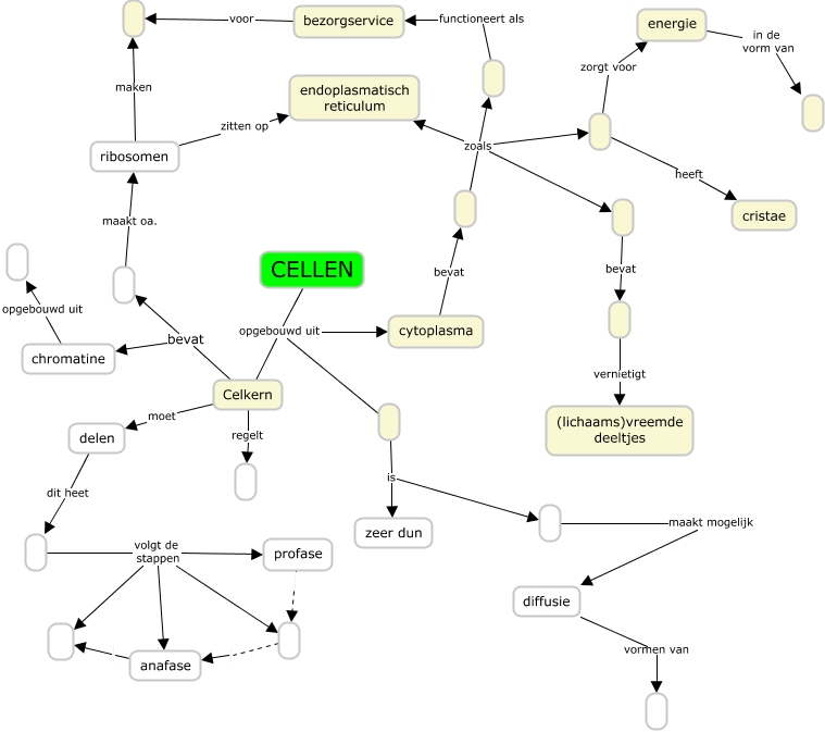 Concept map Cellen - leerling invul