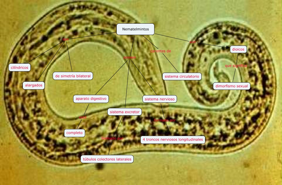 S readresourceservlet?rid= amp;partname=html