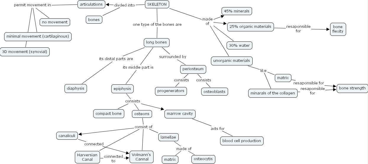 IHMC CmapTools - Concept Map :: skeleton2