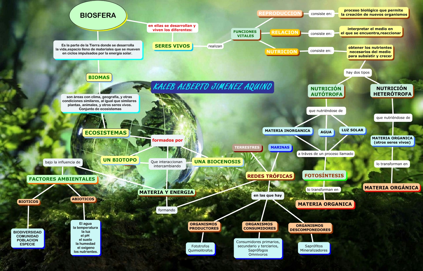 mapa conceptual de la biosfera - ¿en que consiste la biosfera?